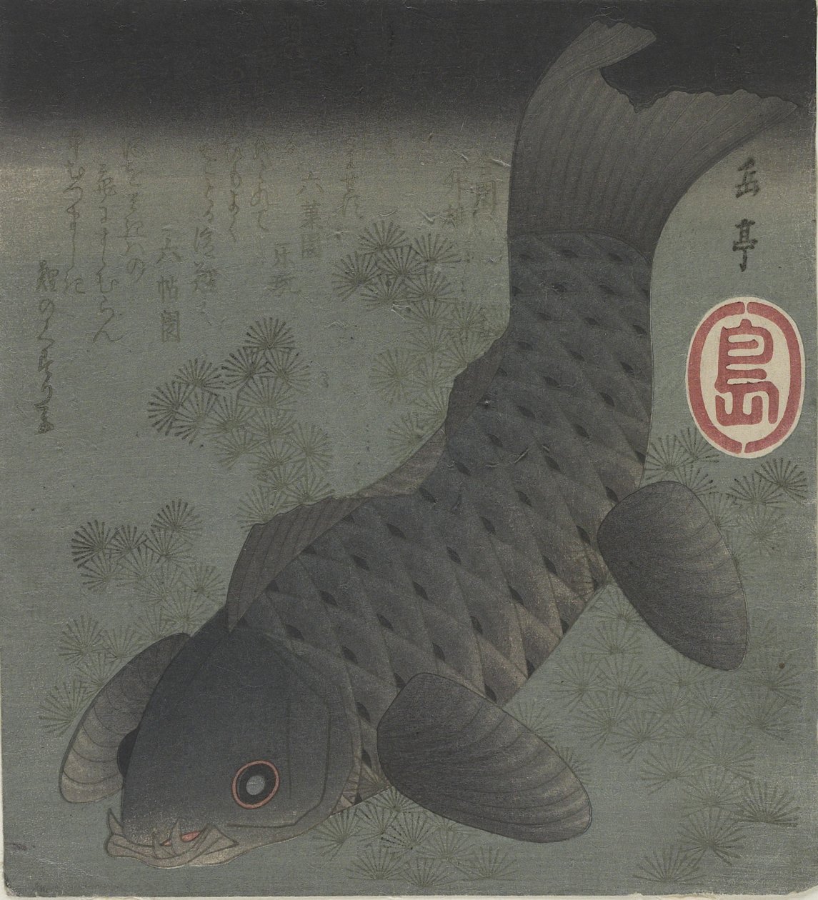 黒鯉）、19世紀半ば | 八島学亭